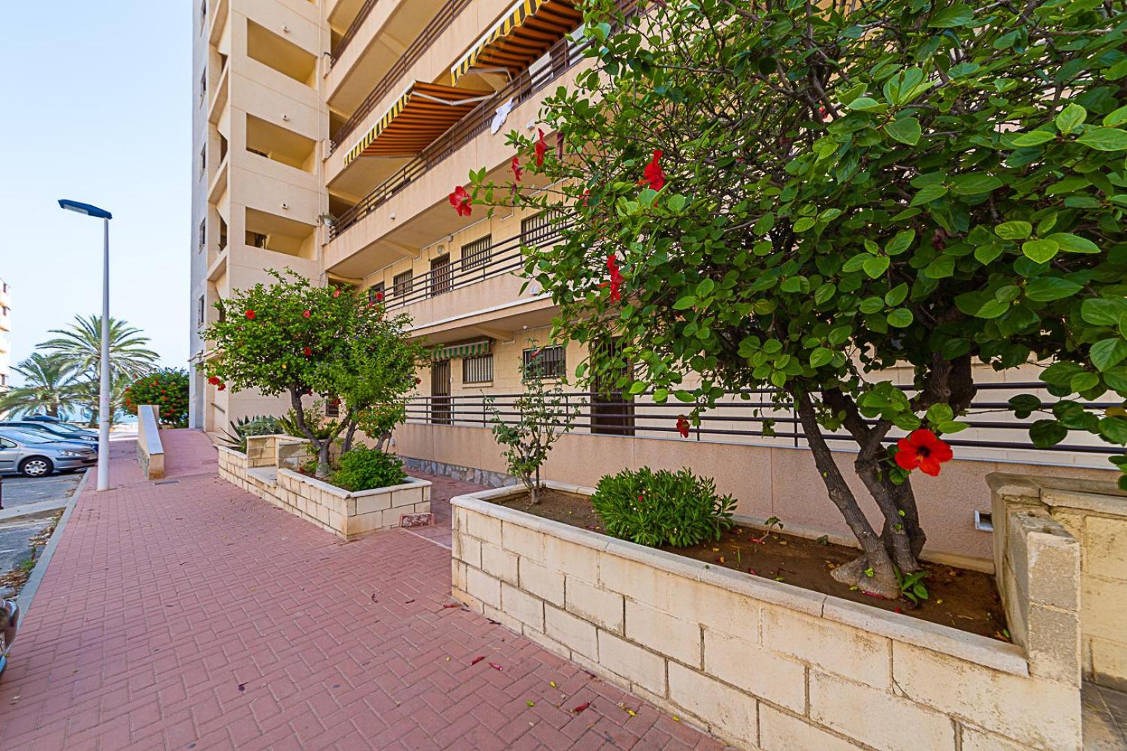 Miramar Magic Sea & Sunrise View Apartment Torrevieja Luaran gambar